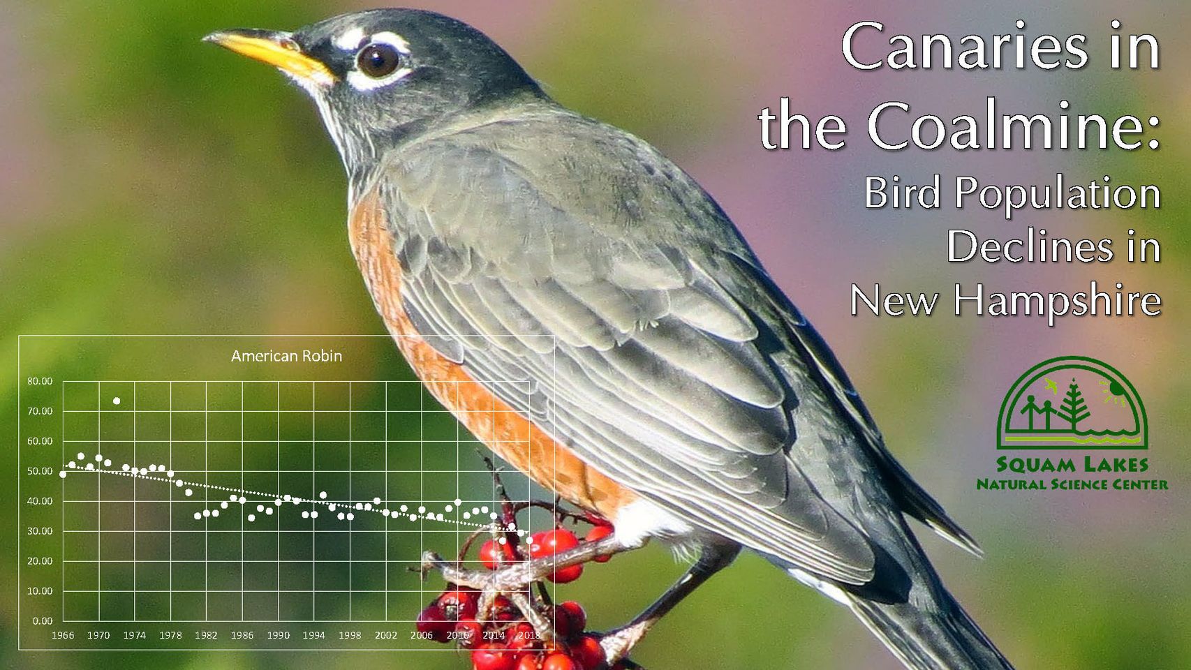 N.H. Audubon Society to host program on bird population Oct. 20